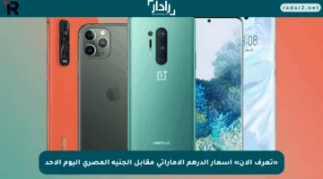 «تعرف الآن» أسعار الدرهم الإماراتي مقابل الجنيه المصري اليوم الأحد